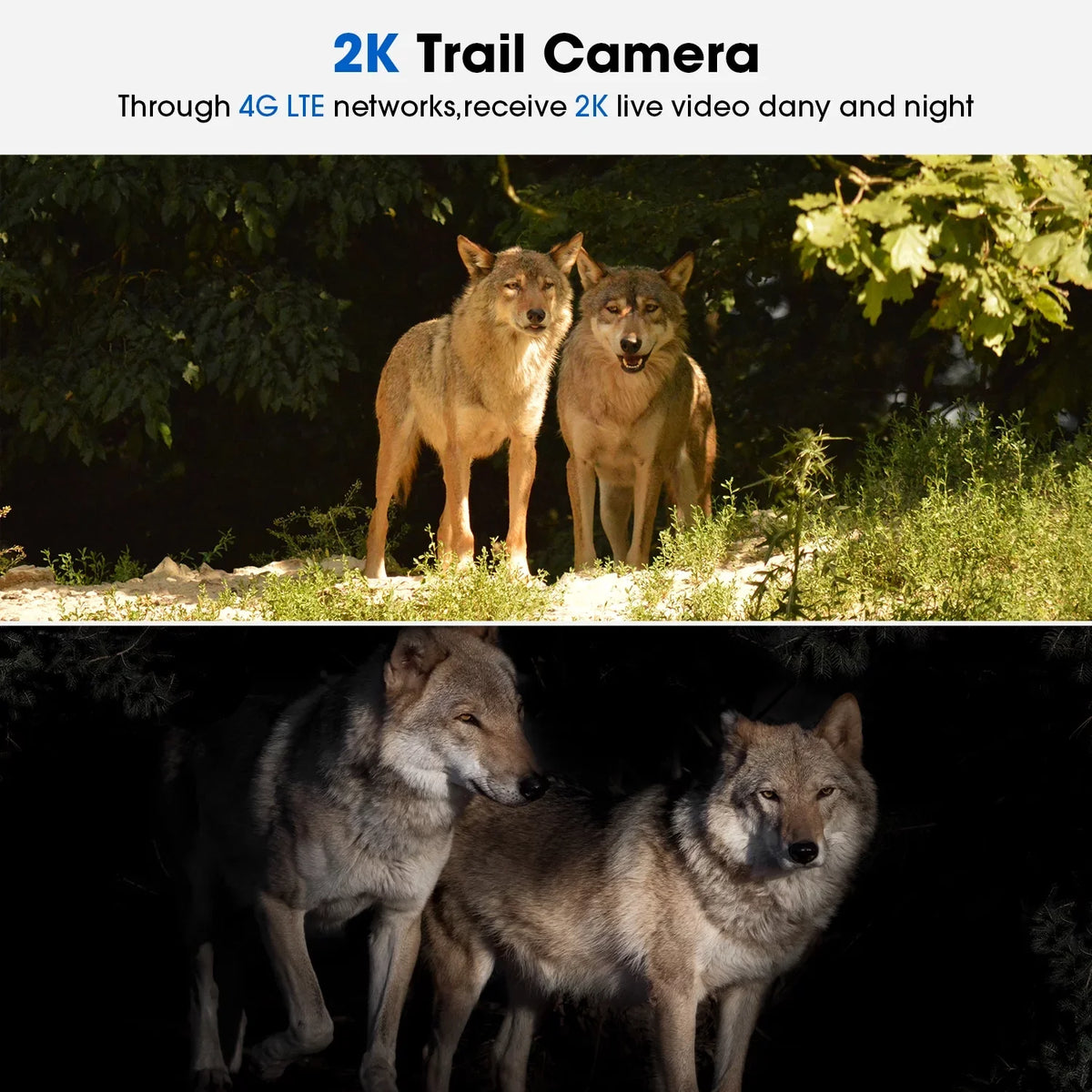 PIR Vision, 2K Night View, Cellular Game Waterproof, Card 90°Tilt, 360°Pan Camera with &SD Camera Security 4G Storage, Hunting with No LTE, Cloud Trail Solar SIM Motion, CAMPARK Cam WiFi Live Wireless