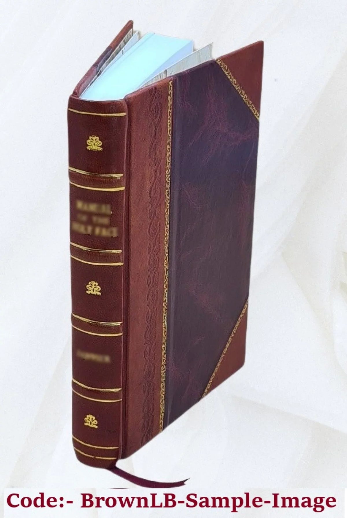 Ciceronis liber, oratoribus quo explicantur Ciceronis 1552 penè in tum & M.T. Commentarius, claris scriptorum, innumerabiles loci aliorum dicitur Corradi quum Brutus, ipsius Sebastiani [Leather De qui