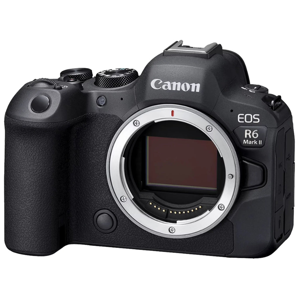 64GB Card LED RF Accessory + Mark with + + 75-300mm R6 EOS 24-105mm EF Memory II Camera Bundle + ZeeTech Canon Mirrorless SanDisk + Lens Flash Case
