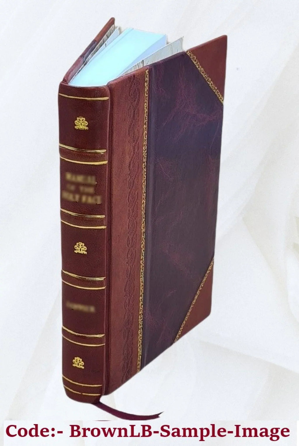 the [Leather helmet of : 1904 Bound] Clarence King memoirs Mambrino
